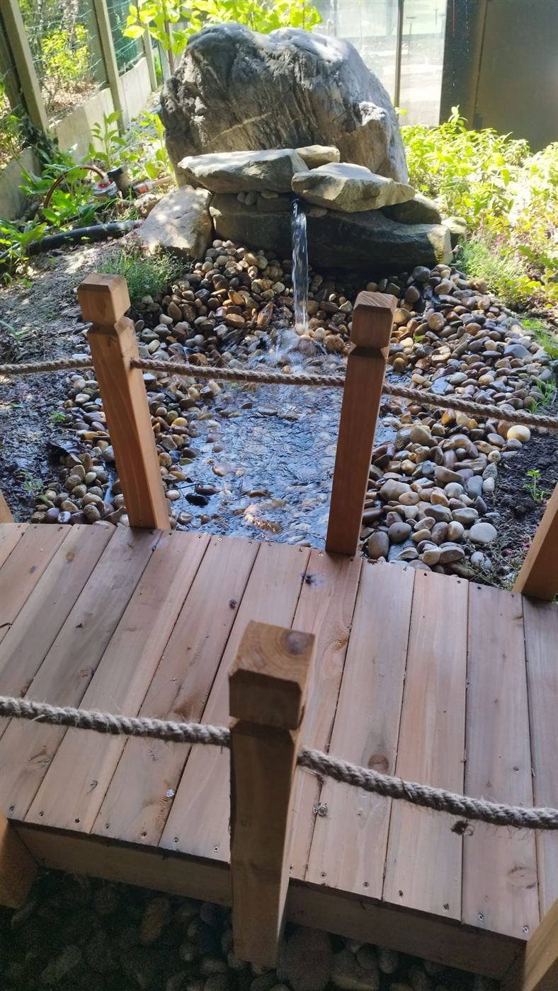 Cascade en rocher naturel avec pont en bois