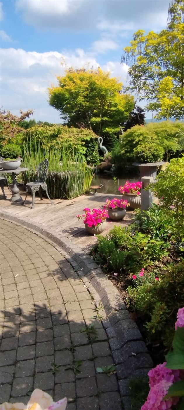Terrasse fleurie et bassin naturel, jardin naturel